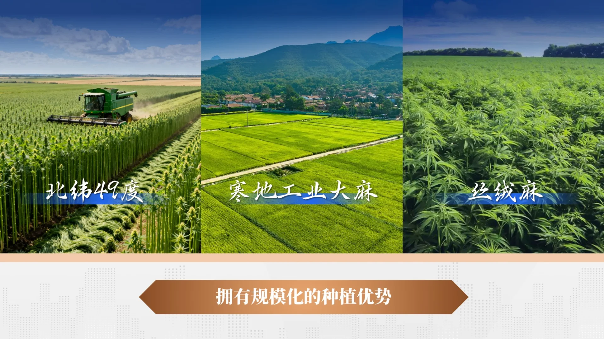 高端推介PPT 案例分享！