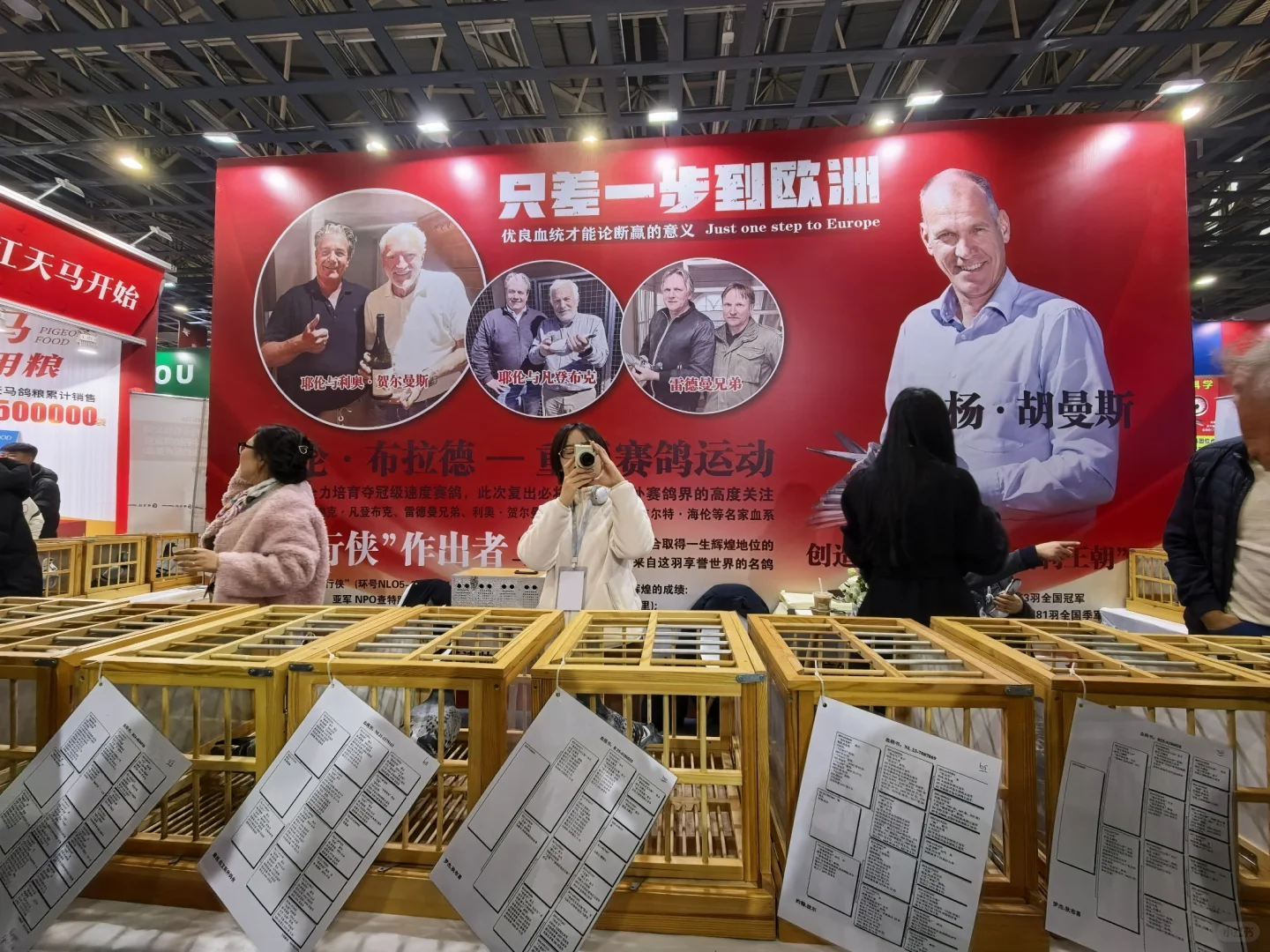 信鸽国家赛铭?展