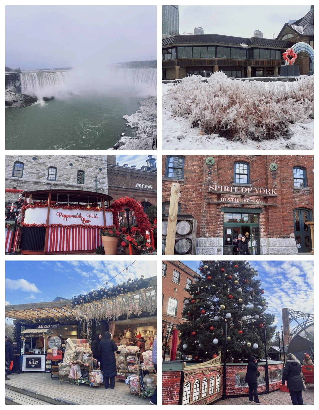 回顾加拿大建材展：五展合一，中国展商翻倍