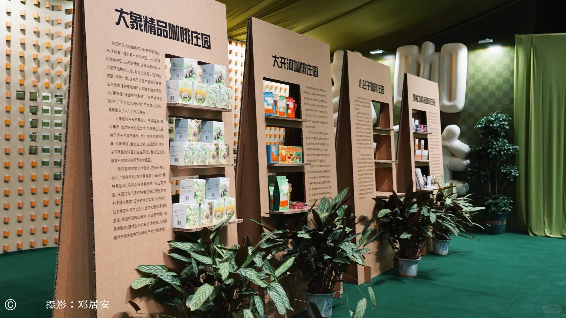 普洱思茅茶咖潮玩｜超绝打卡地