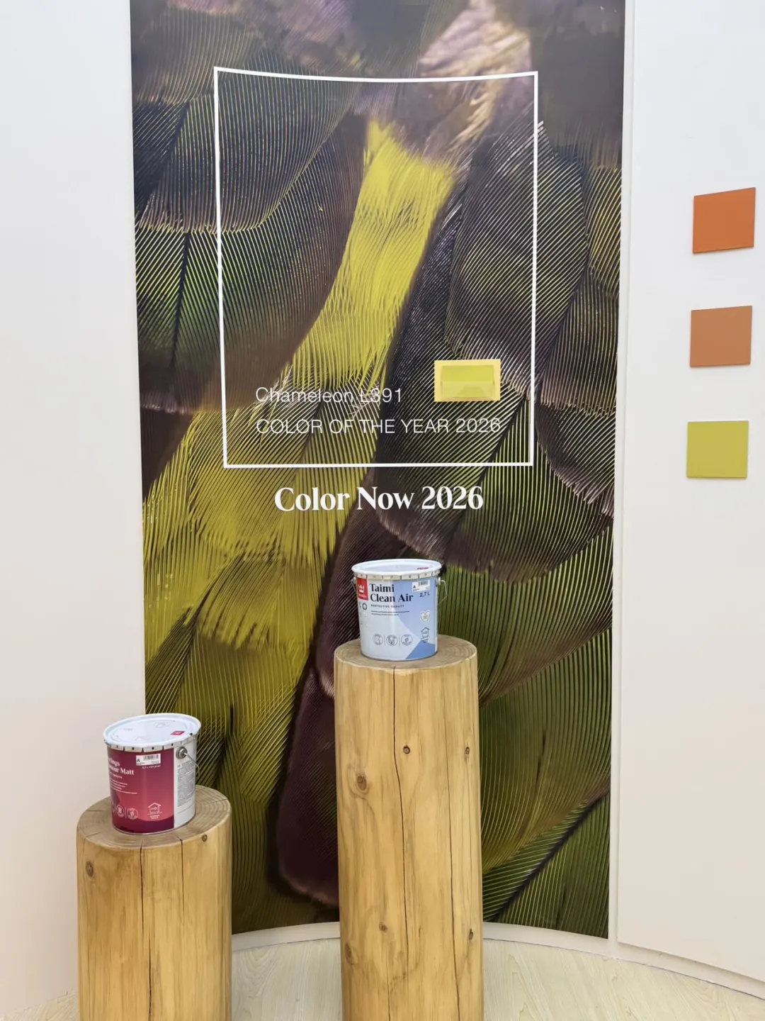 广州设计周！芬琳漆把艺术展搬过来了