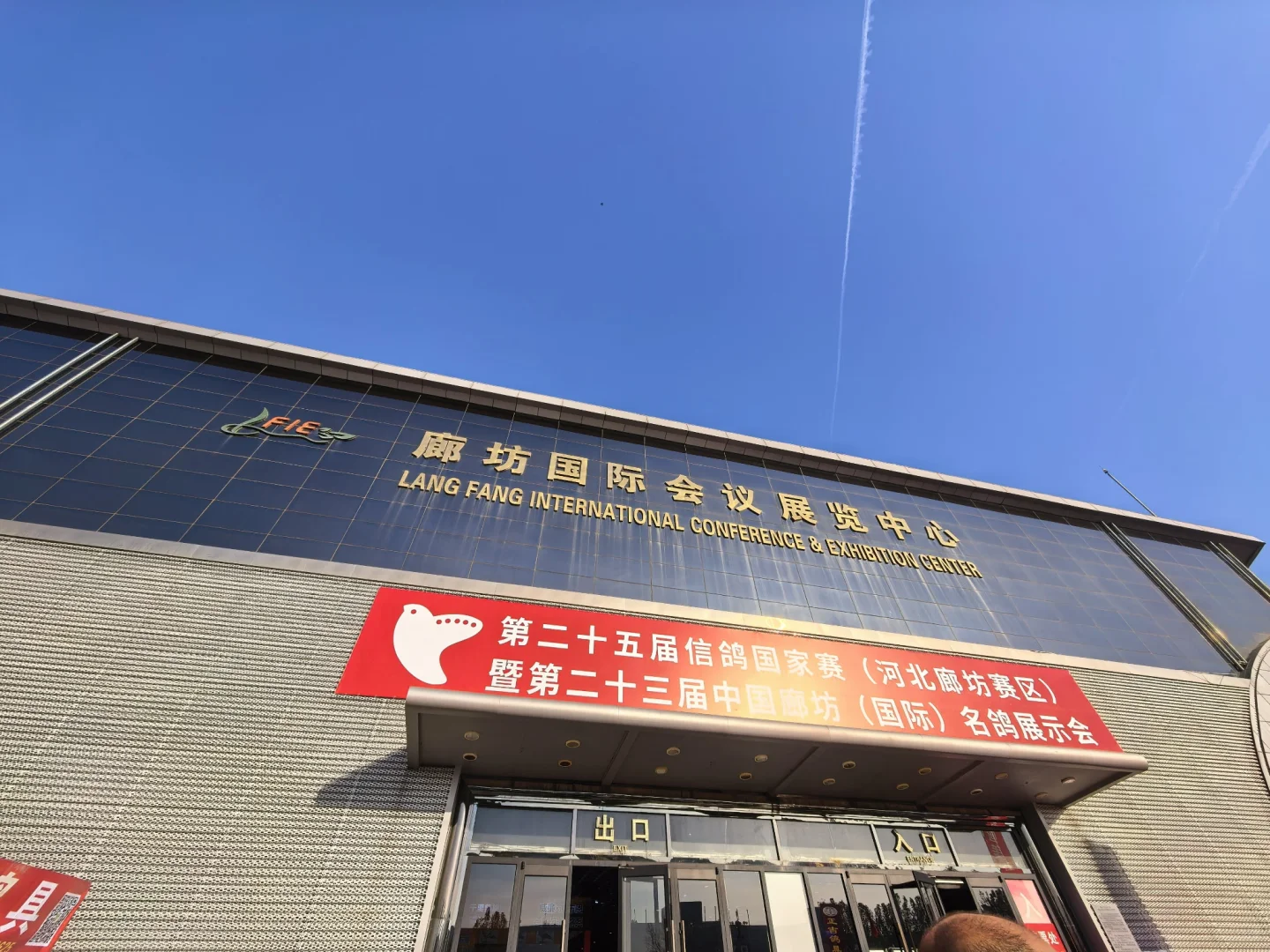 信鸽国家赛铭?展