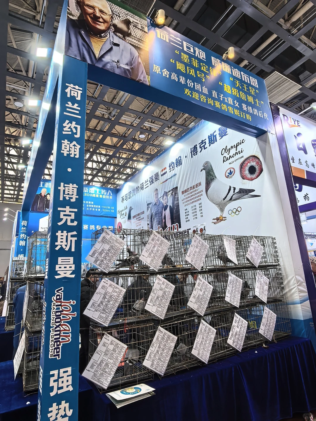 信鸽国家赛铭?展