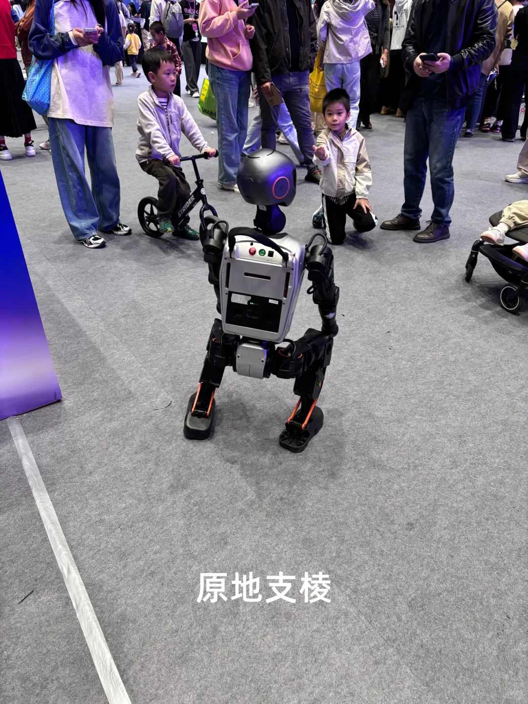 WTCC | 西岸嘉年华观察?,AI步入深水区