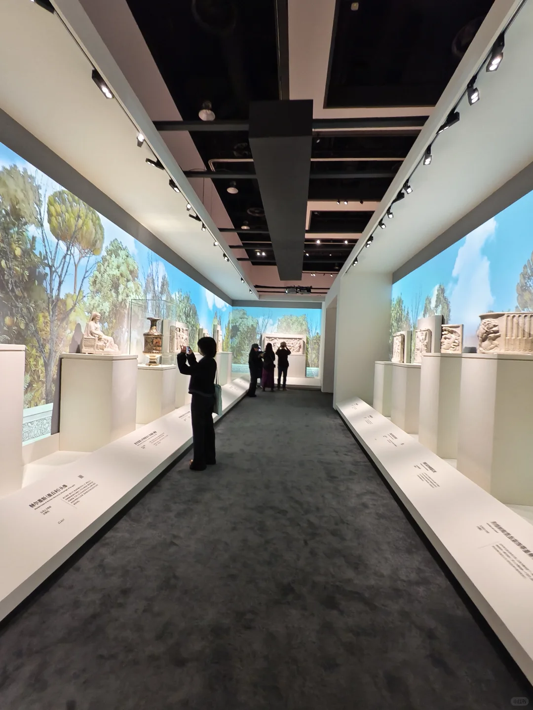 上海罗马展抢先看！