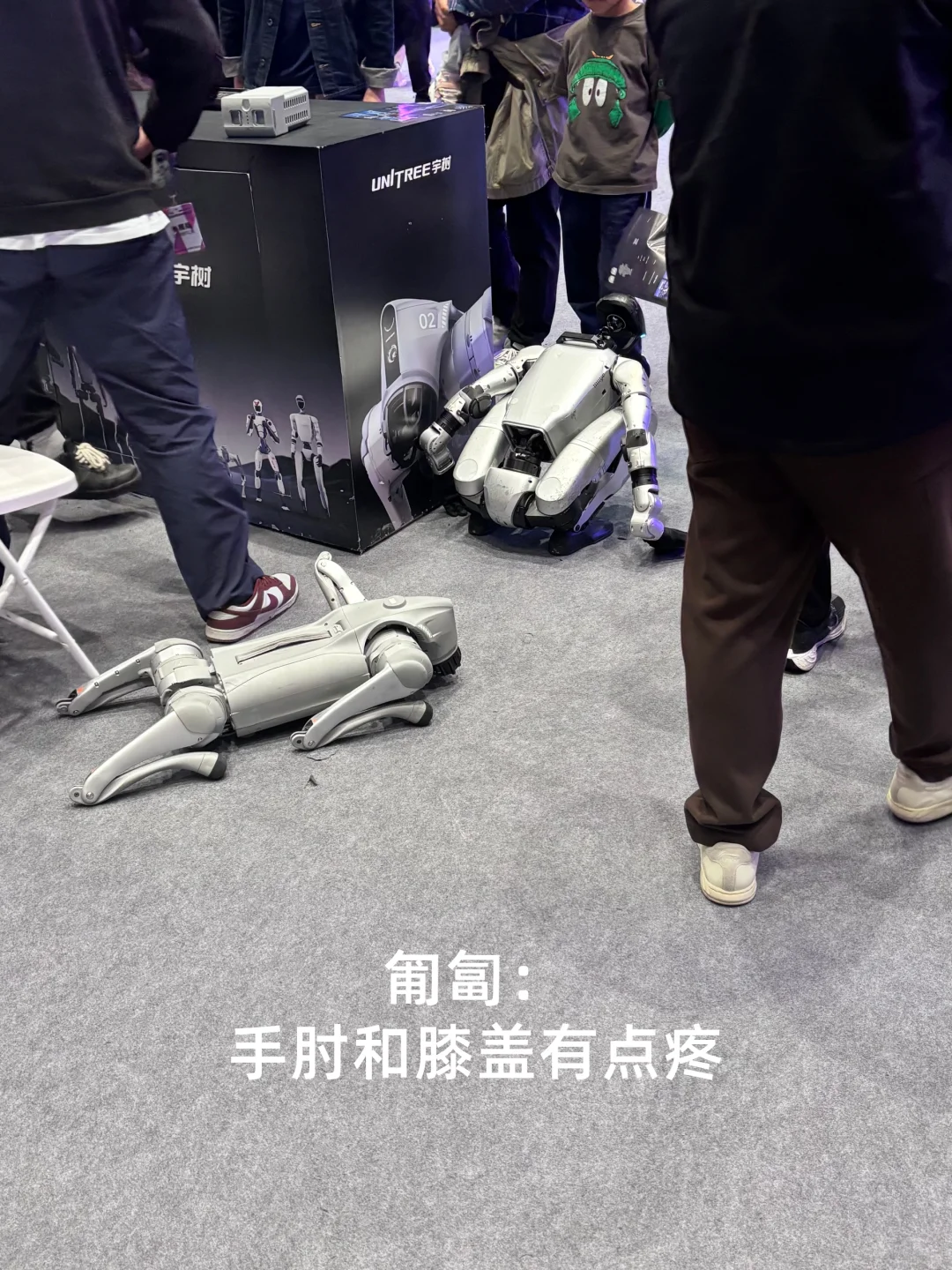 WTCC | 西岸嘉年华观察?,AI步入深水区