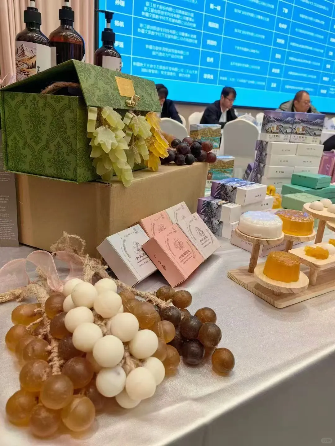 中国雪都 投资沃土”冰雪产业专题招商推介会