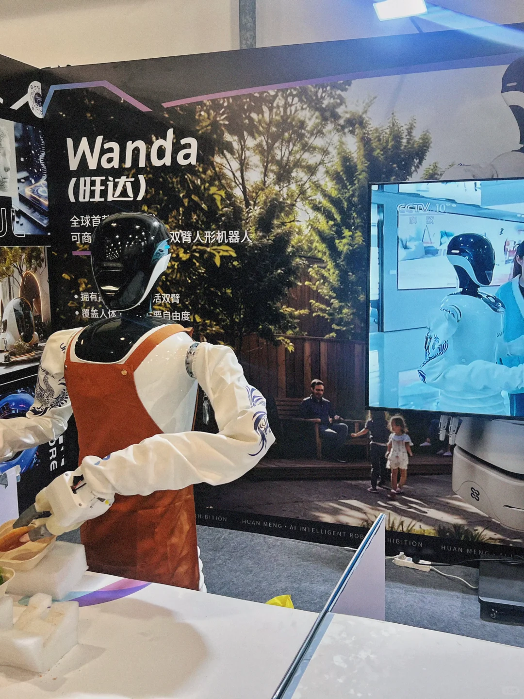 2025 ? 环梦AI机器人科普展?