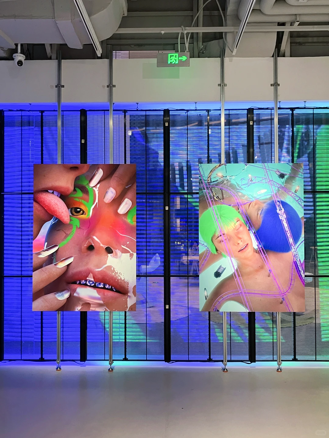 上海免费看展｜2个新展·多巴胺激活计划?