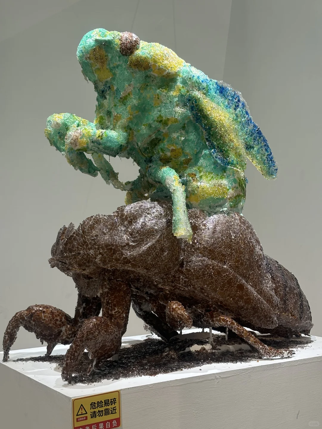 25央美毕业季，那幅记忆最深刻