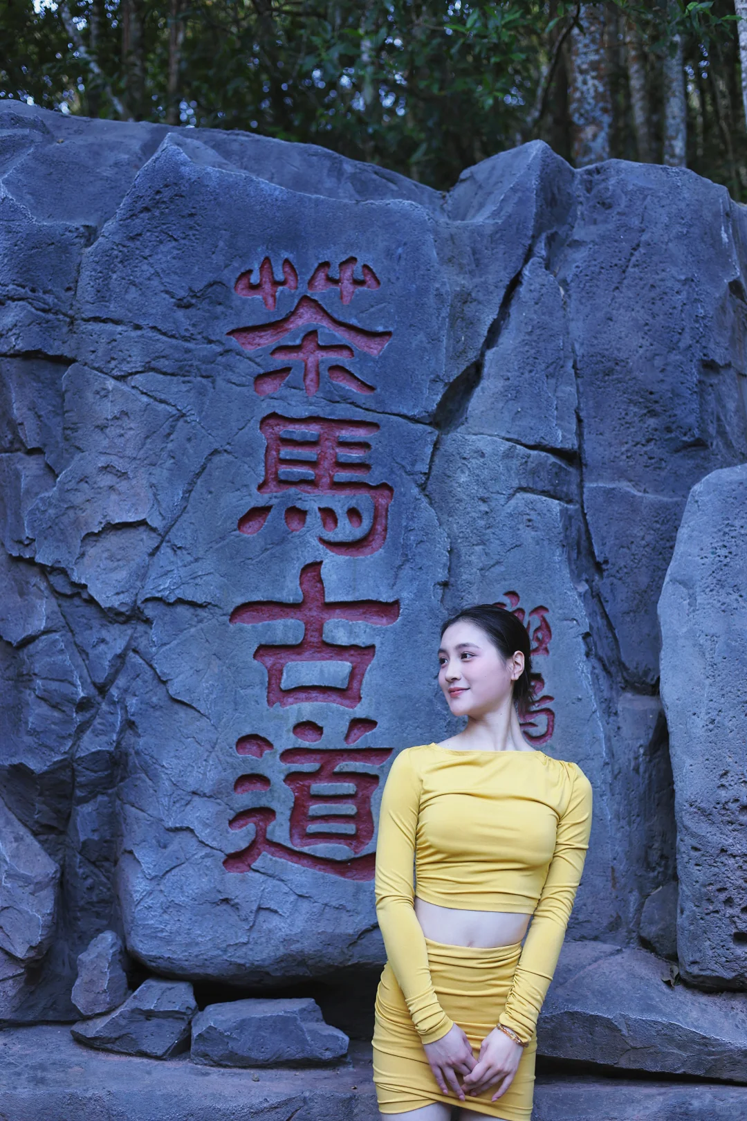 普洱‼️ 茶博会隐藏玩法大公开?