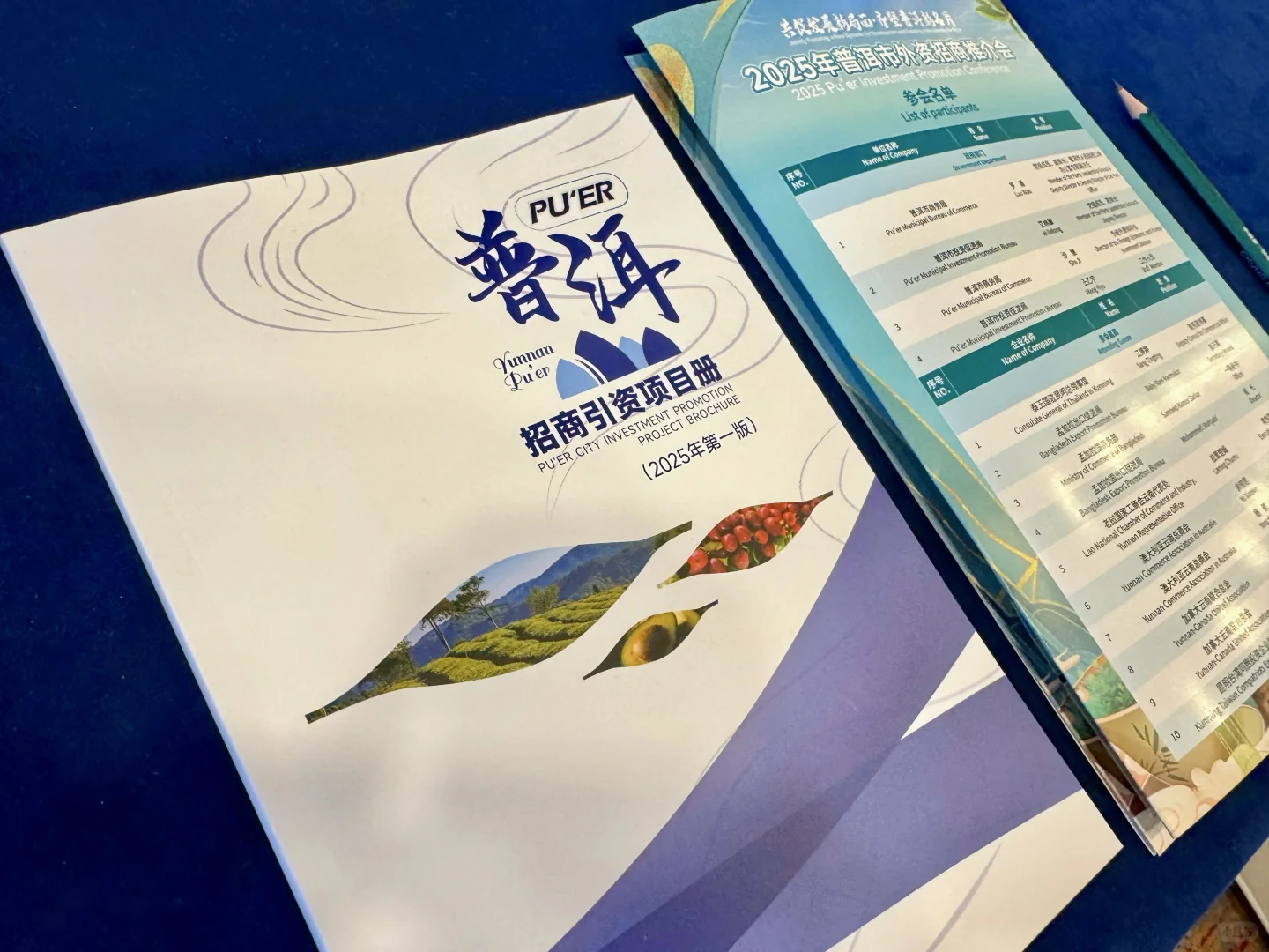 00后女主持｜政府招商会主持稿分享