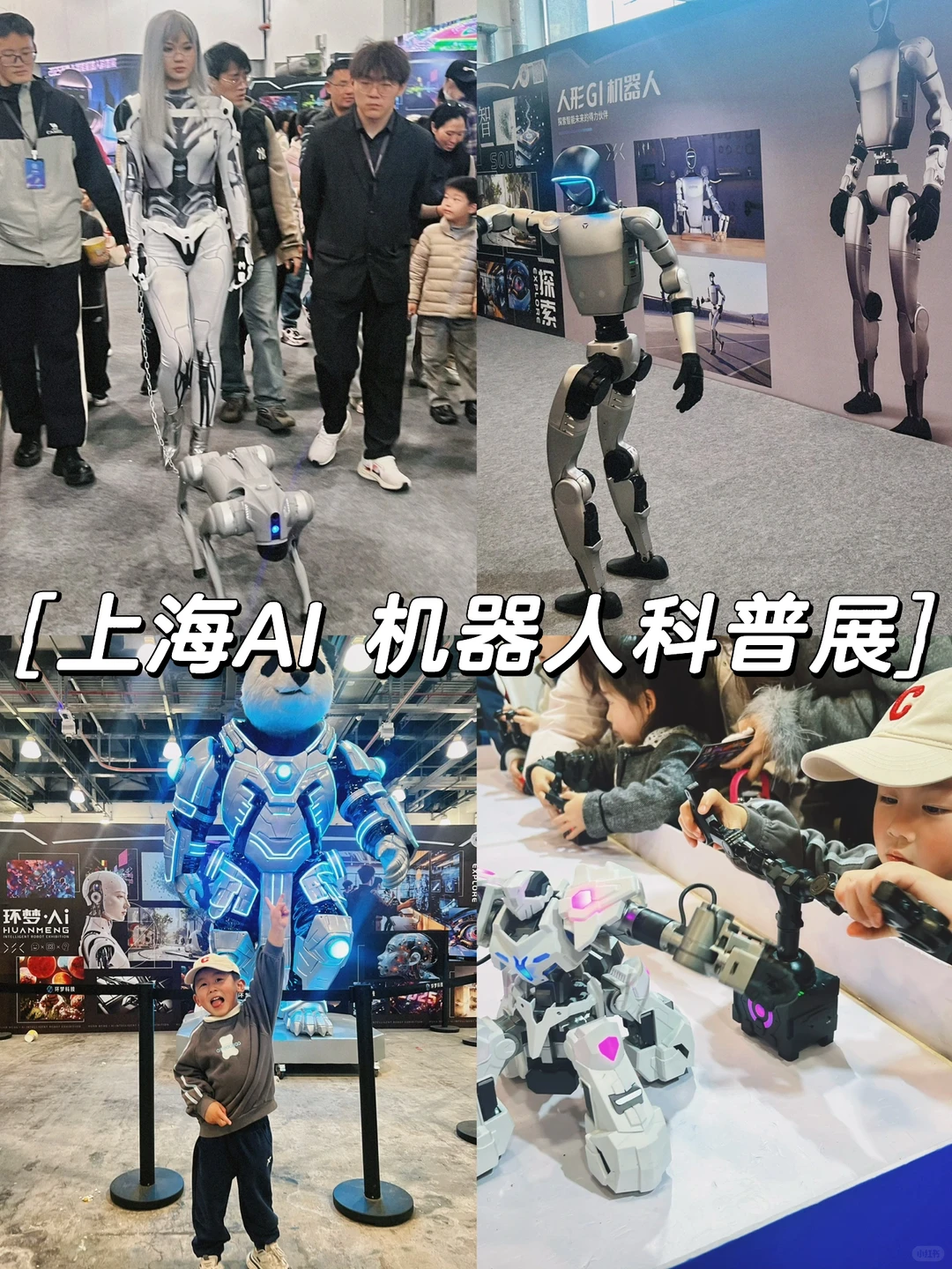 2025 ? 环梦AI机器人科普展?