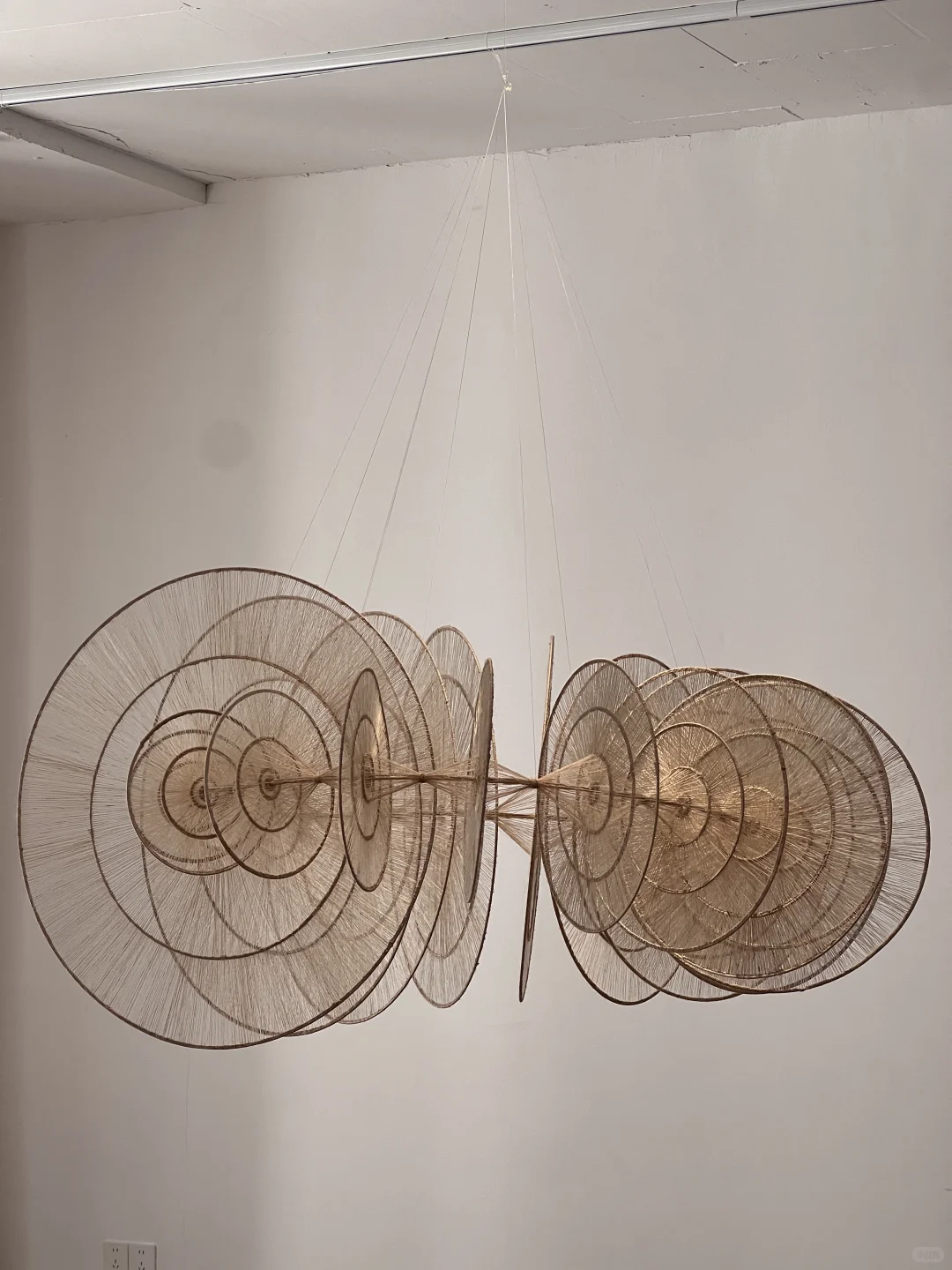 上海近期坠值得看的新展?美到失语了…