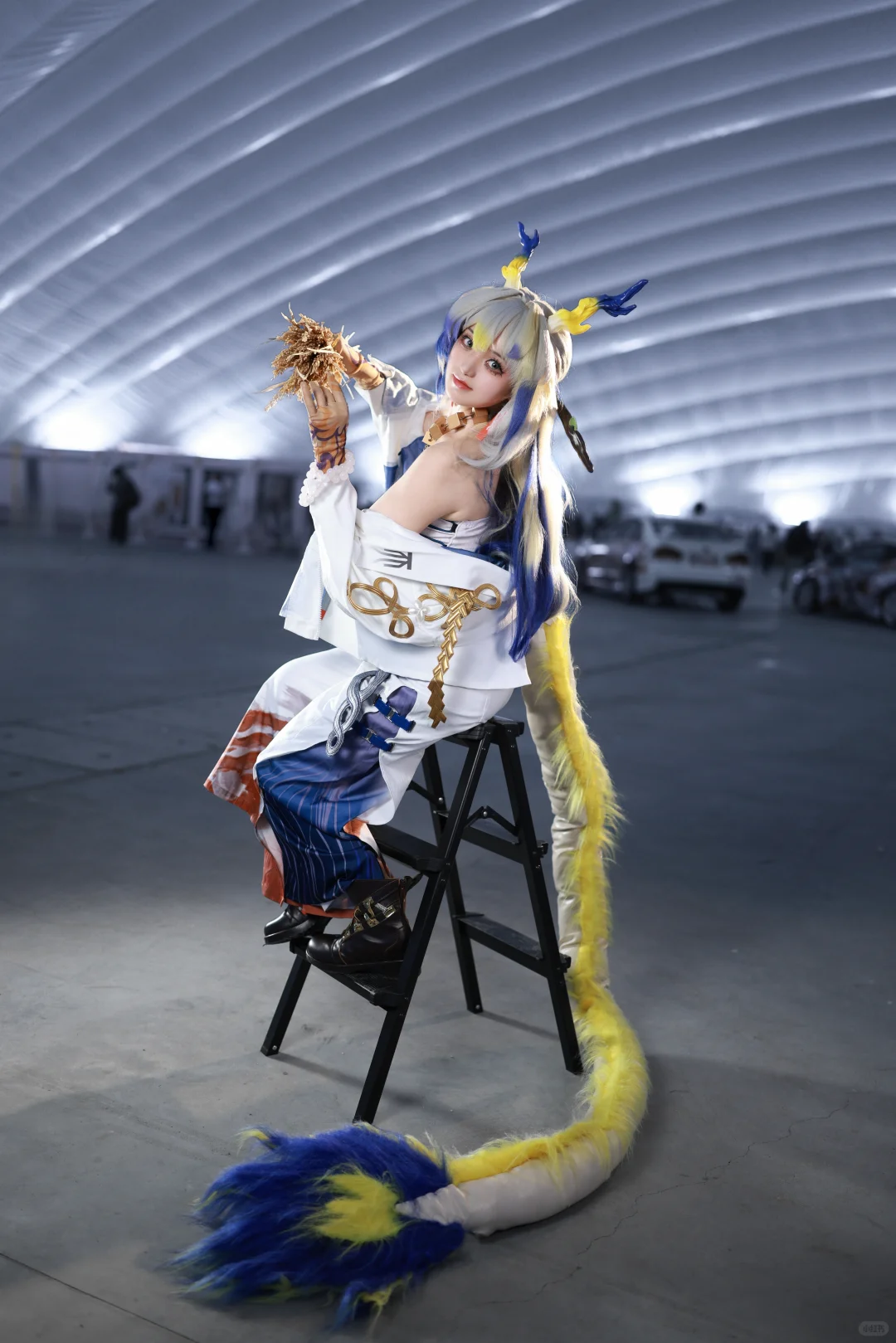 梦漫星河自由行申请??