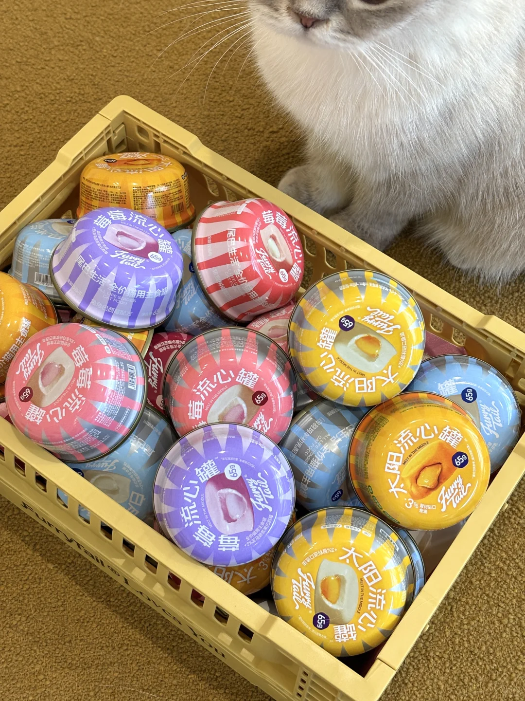 来华南展对暗号?请修猫修狗吃罐罐