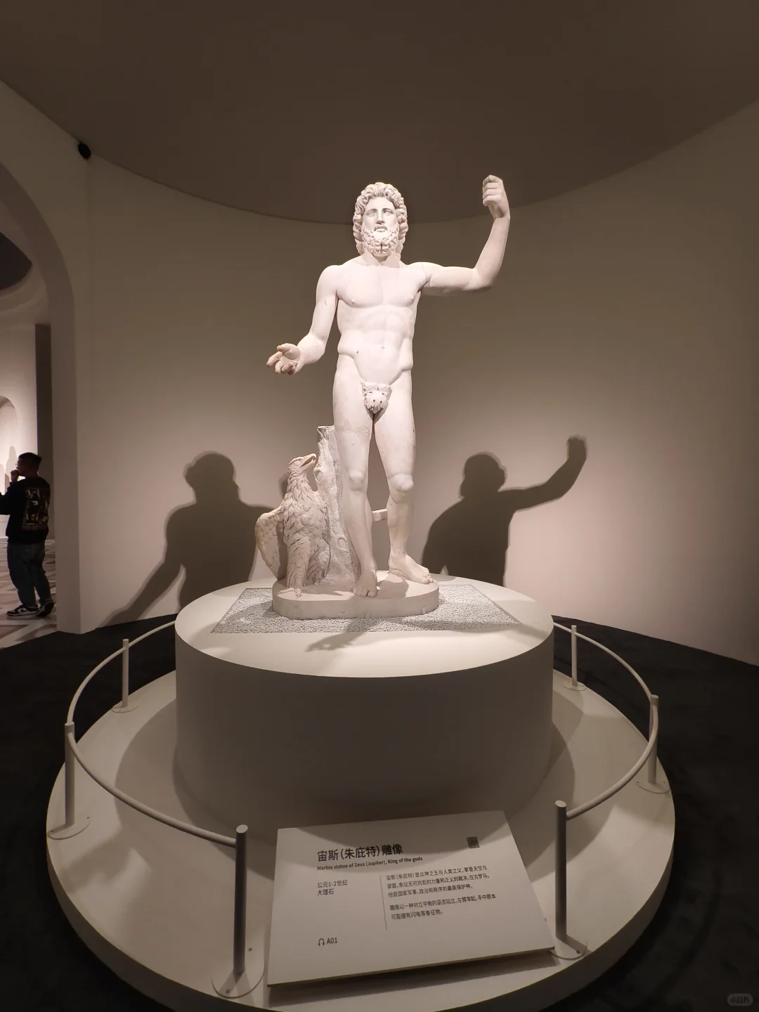 上海罗马展抢先看！