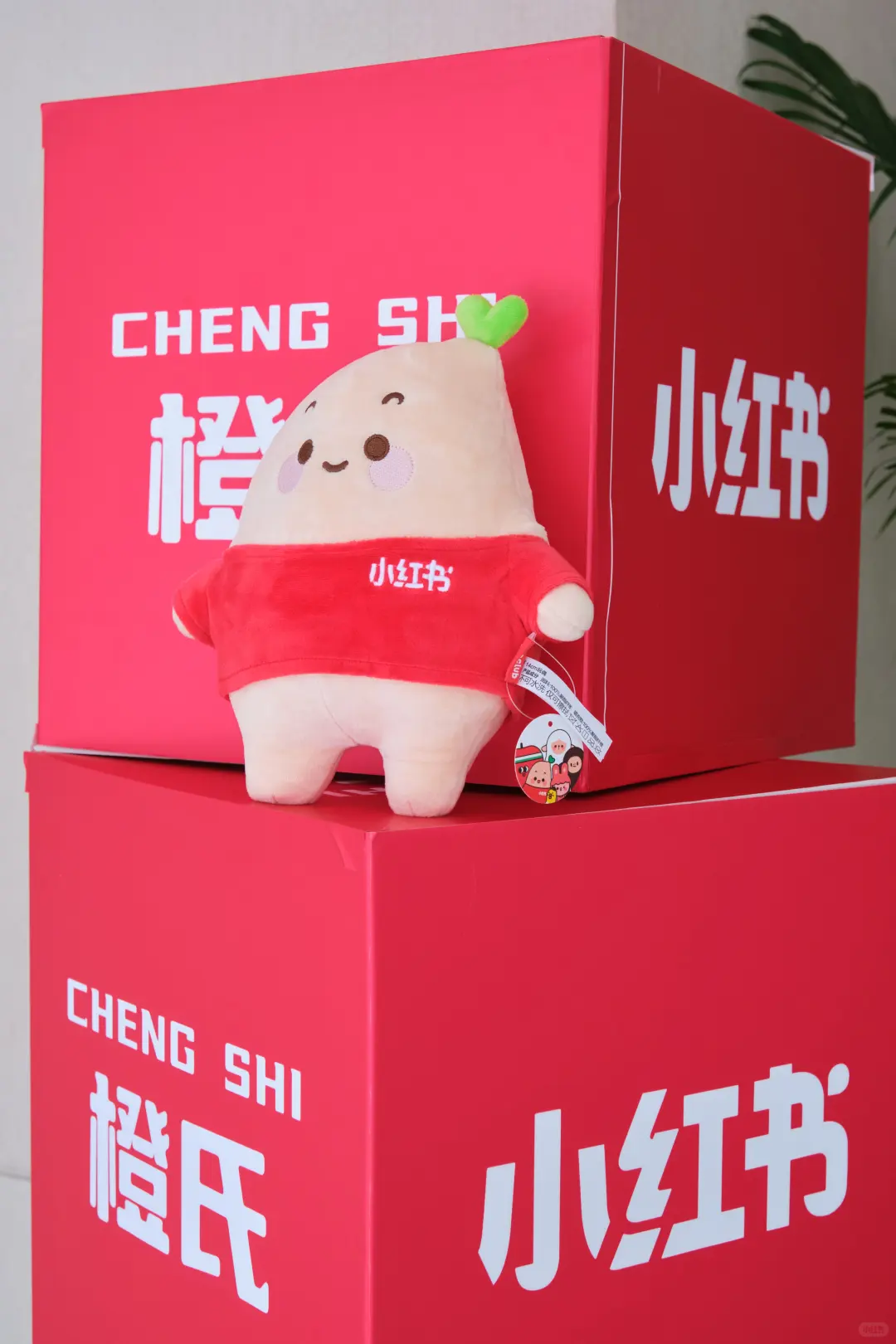 官宣！小红书海外推介会，落地有無茶院！