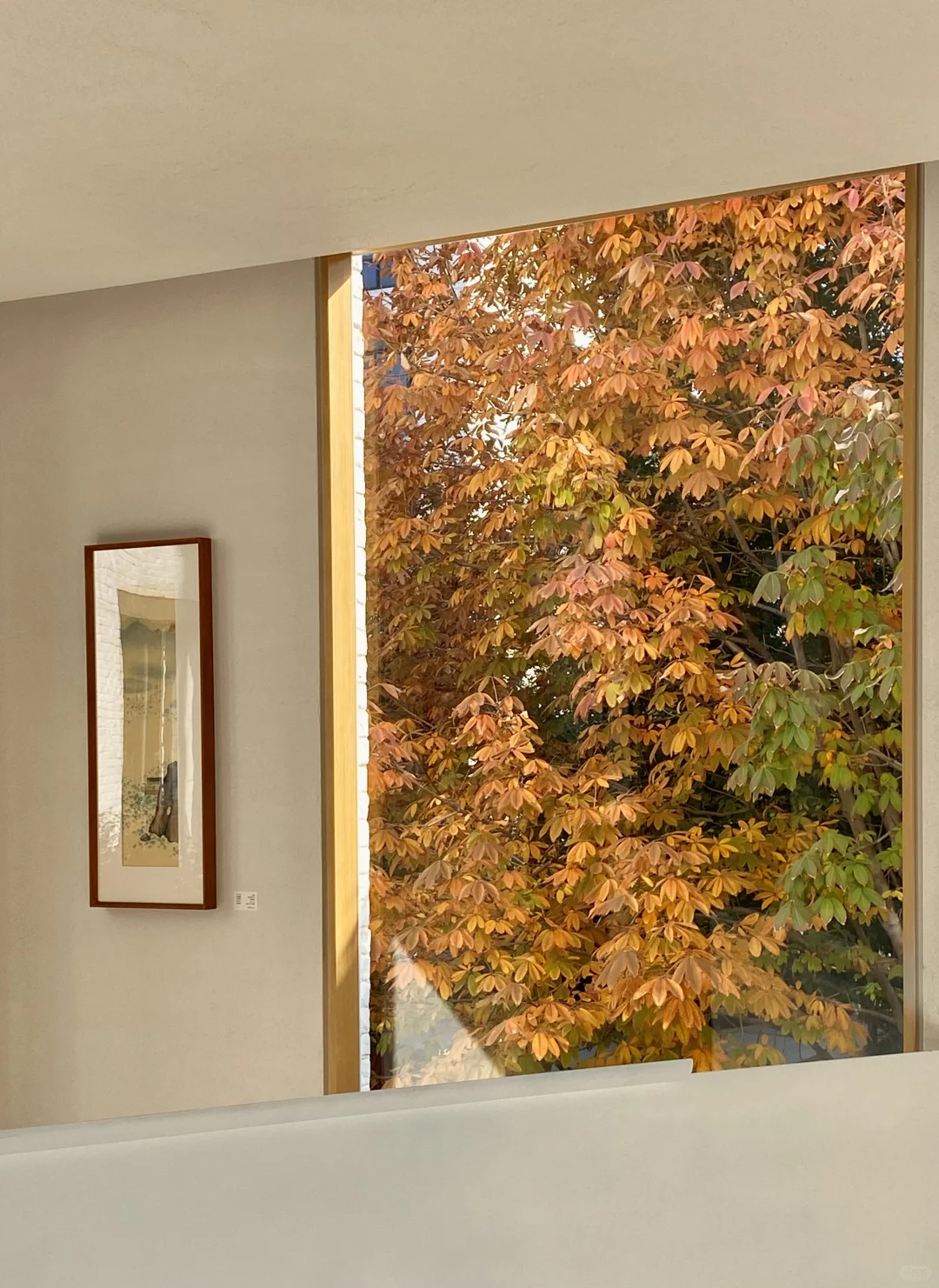 杭州新展 | 一个像夏天，一个像秋天