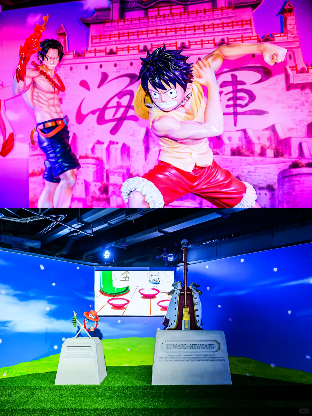 《航海王》大航海时代动漫展(广州站)~来啦