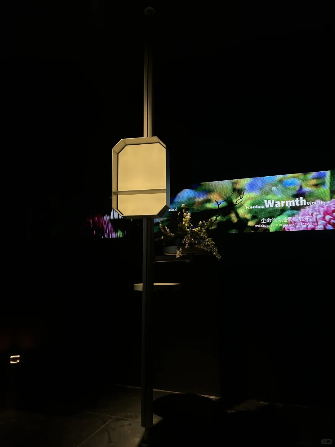 闪现广州设计周～看观兰全球首发！