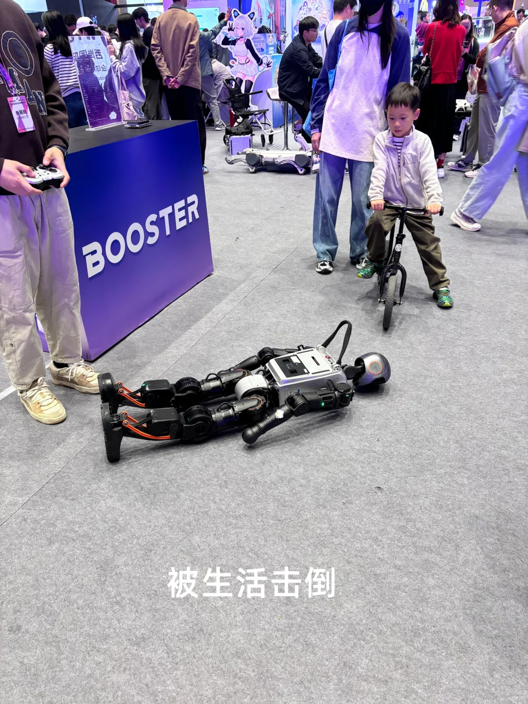 WTCC | 西岸嘉年华观察?,AI步入深水区