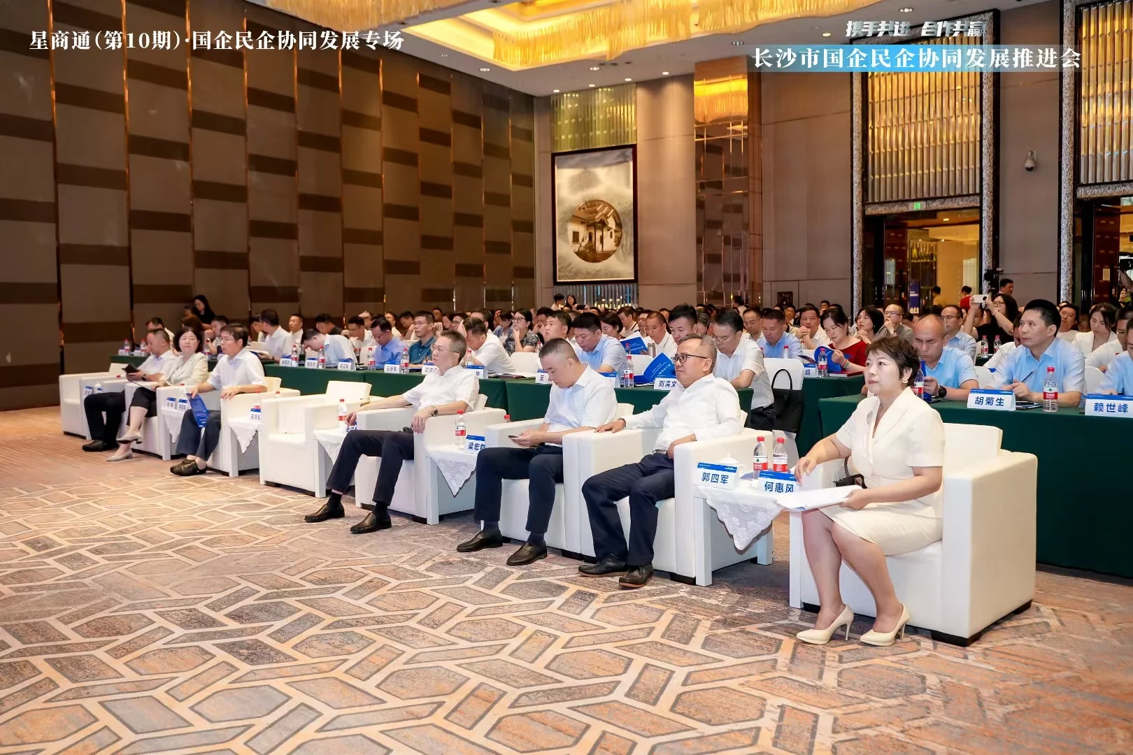 国企民企推荐会