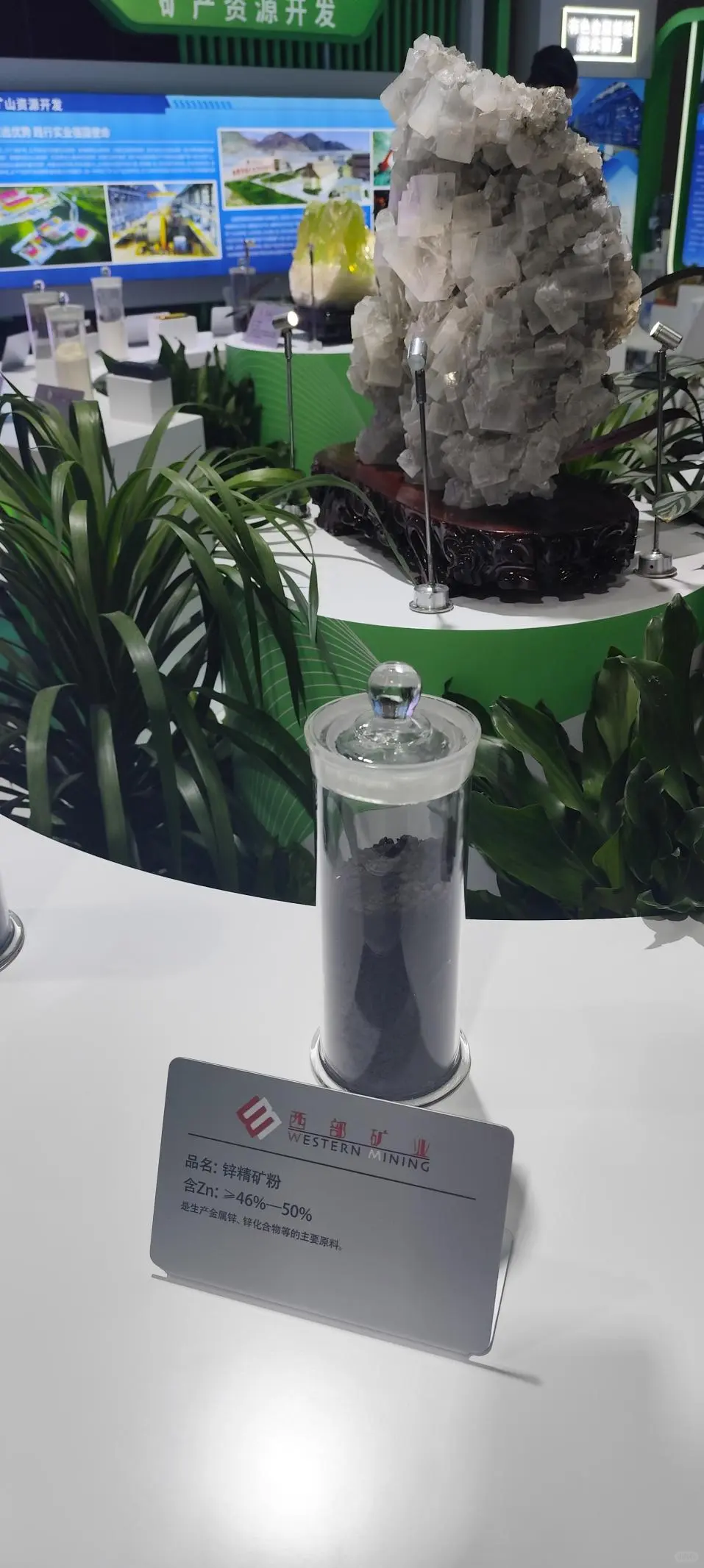 2025中国国际矿业大会