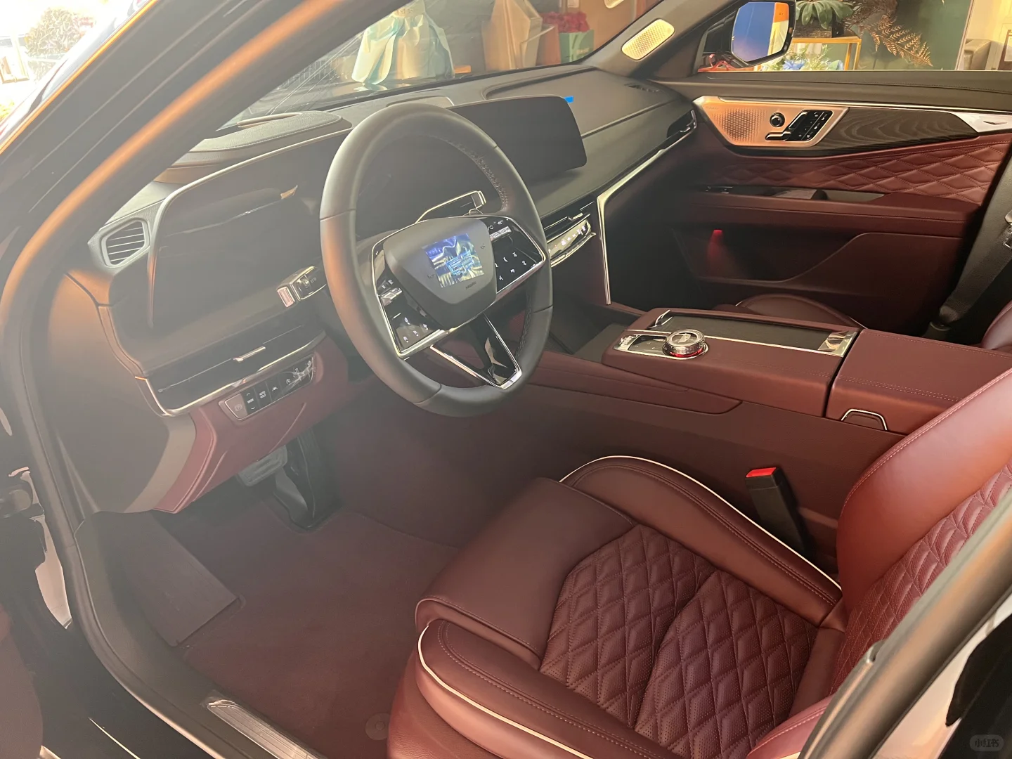 进博会CT6少量红内