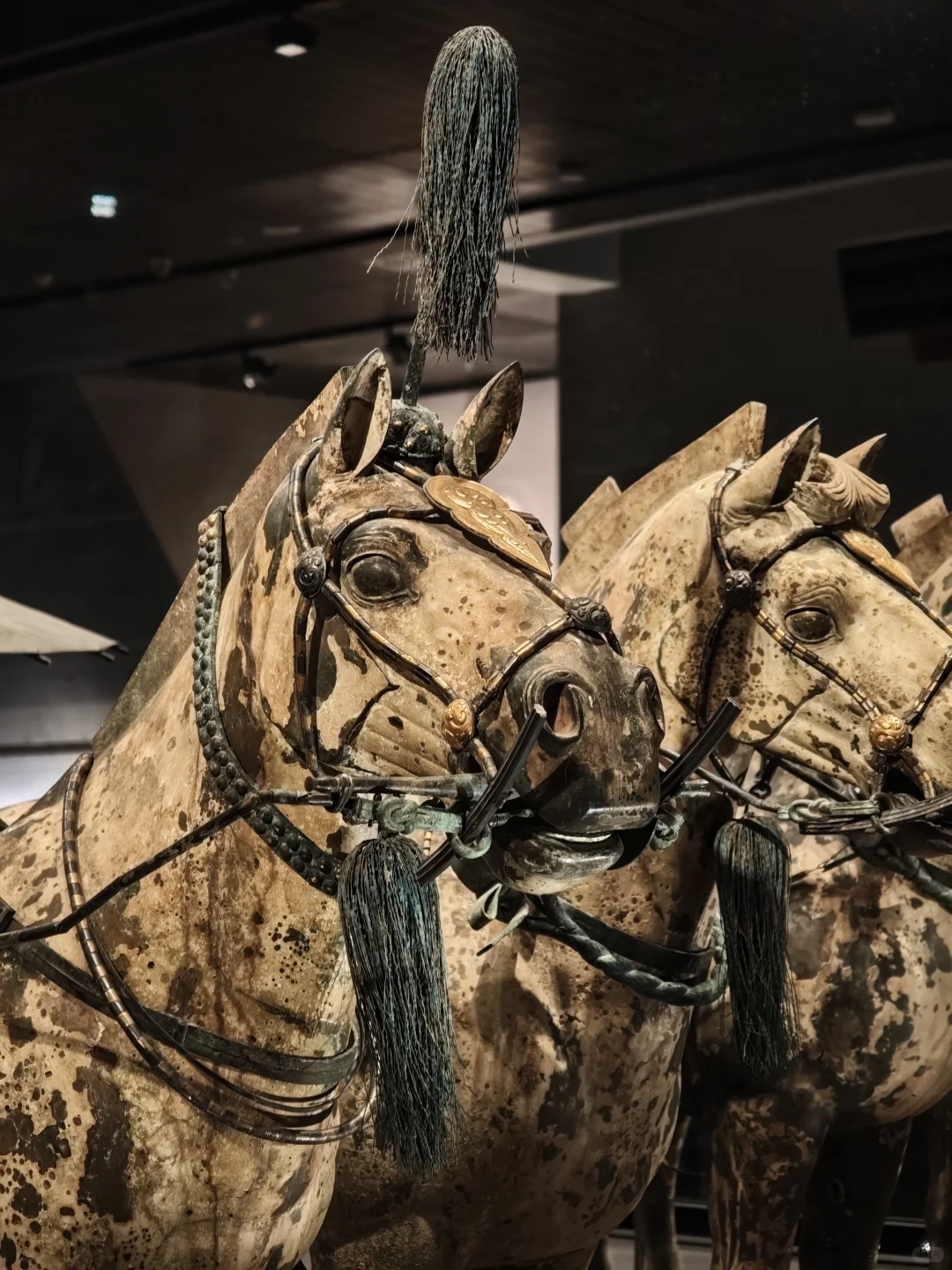 精神西安人的兵马俑长恨歌半日体验