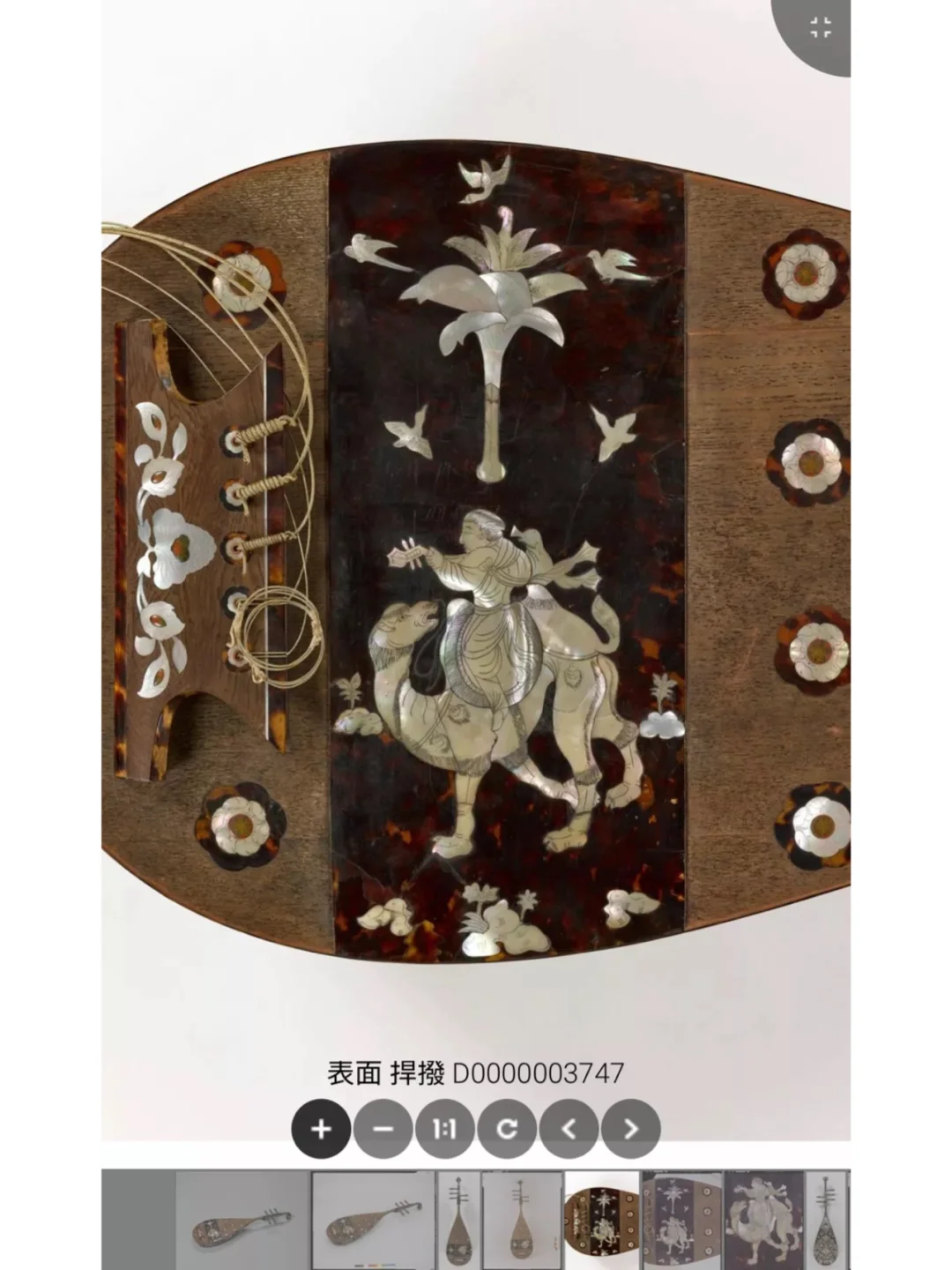 超惊艳的唐物细节✨日本正仓院数据库全开放