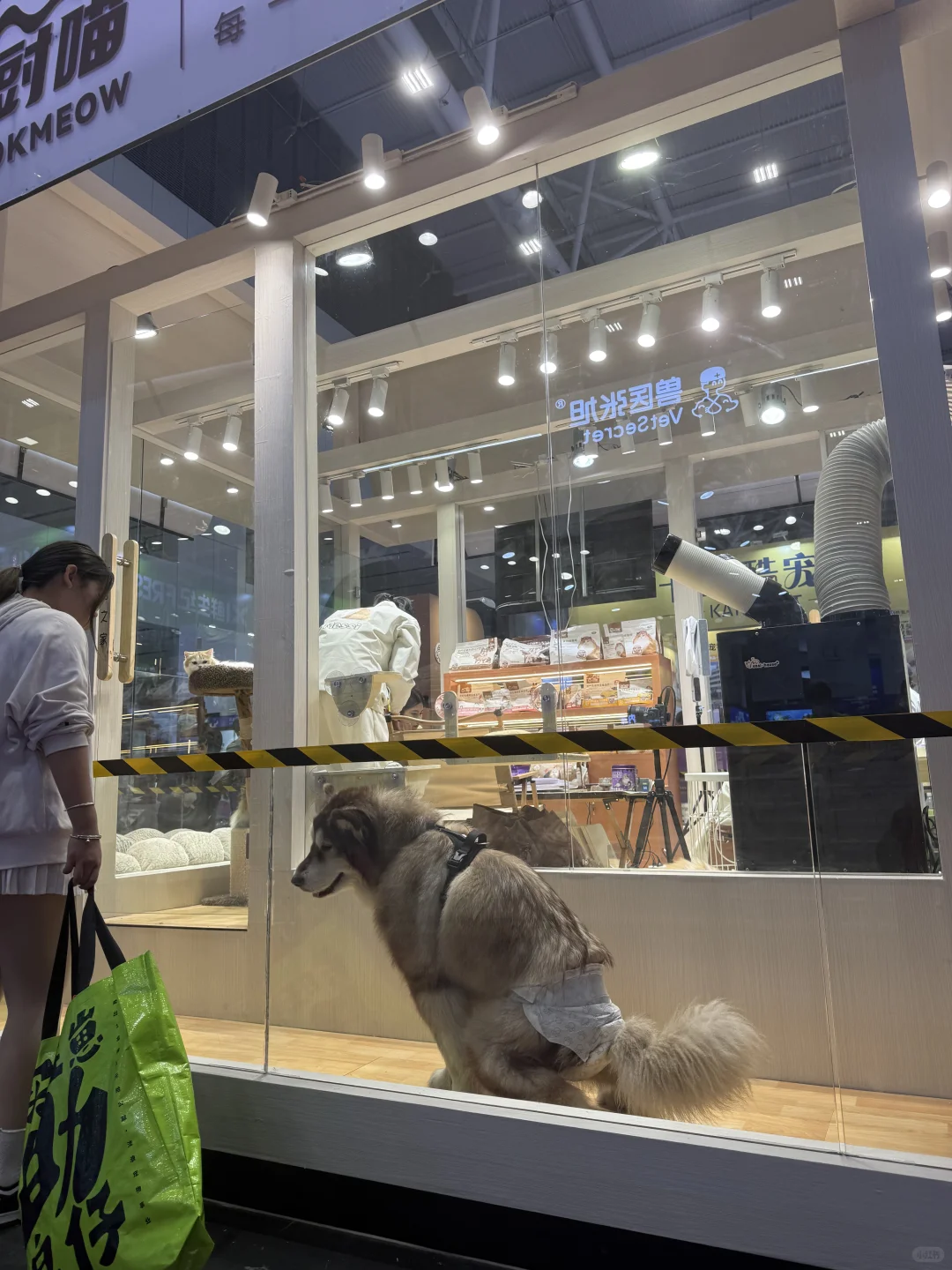 亚宠华南展攻略来喽，后附展会地图！