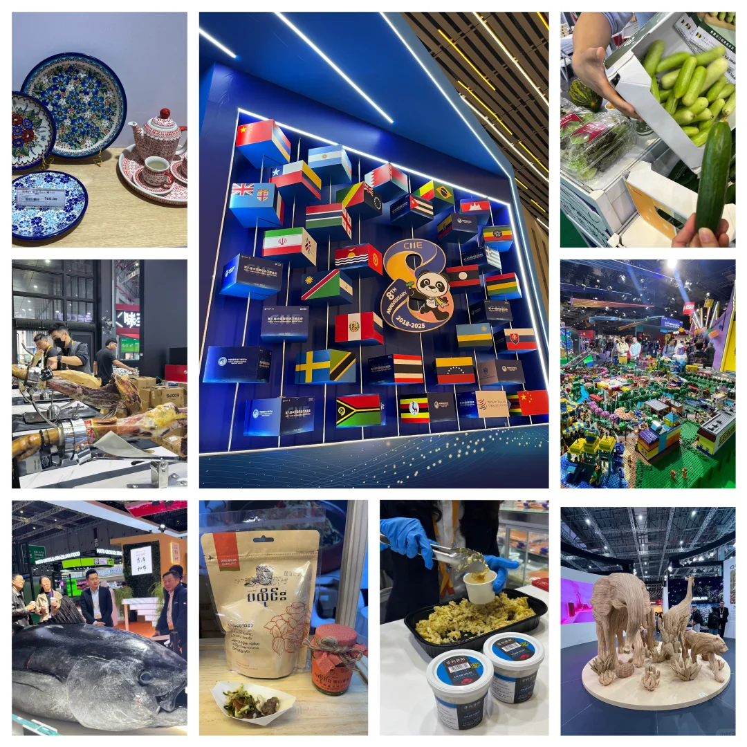 上海进博会佛系暴走8小时攻略