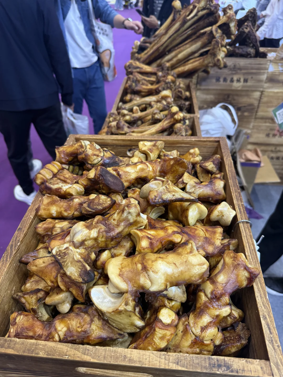 深圳亚宠展全攻略|附薅羊毛指南