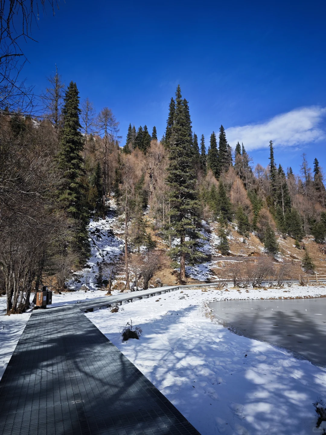 重庆出发｜九寨沟-四姑娘山-三星堆（下）
