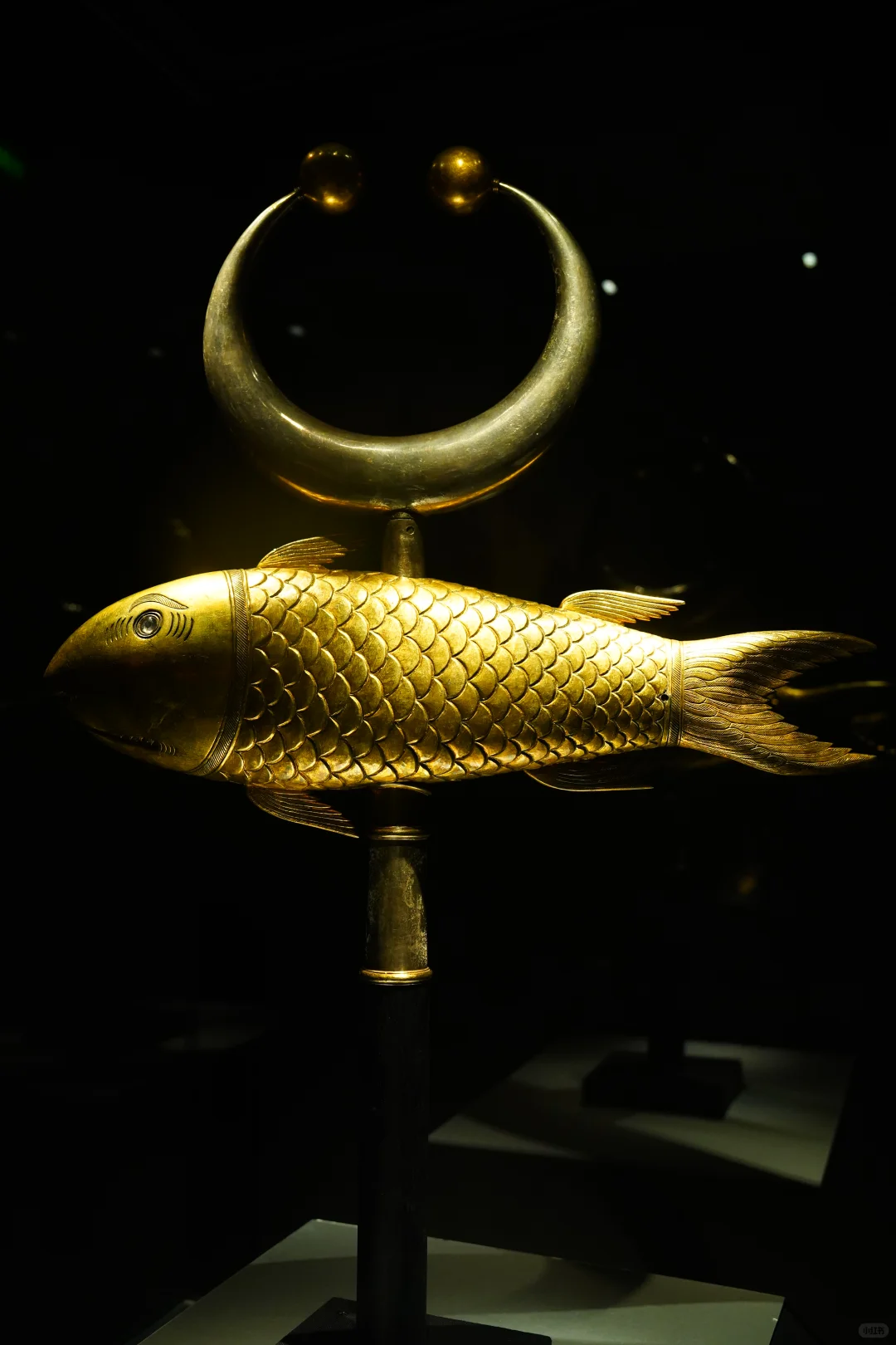 来深圳博物馆,看莫卧儿宫廷珍宝展