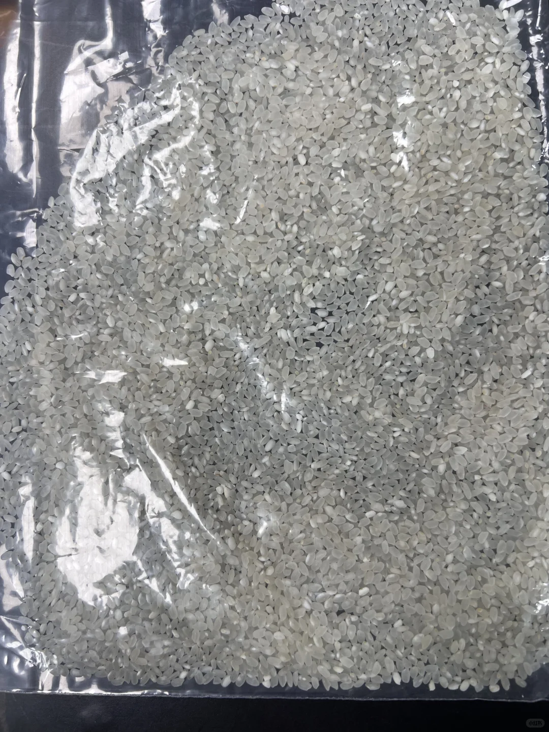 长期集采珍珠米