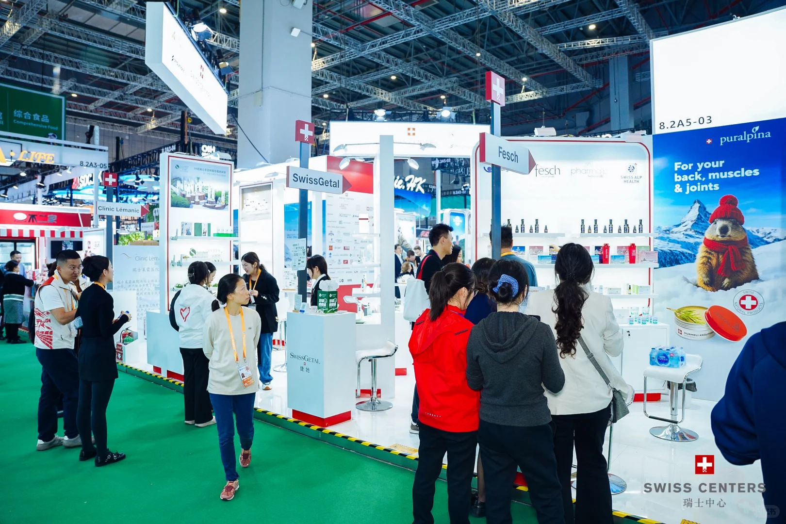 ?进博会现场直击,先睹为快