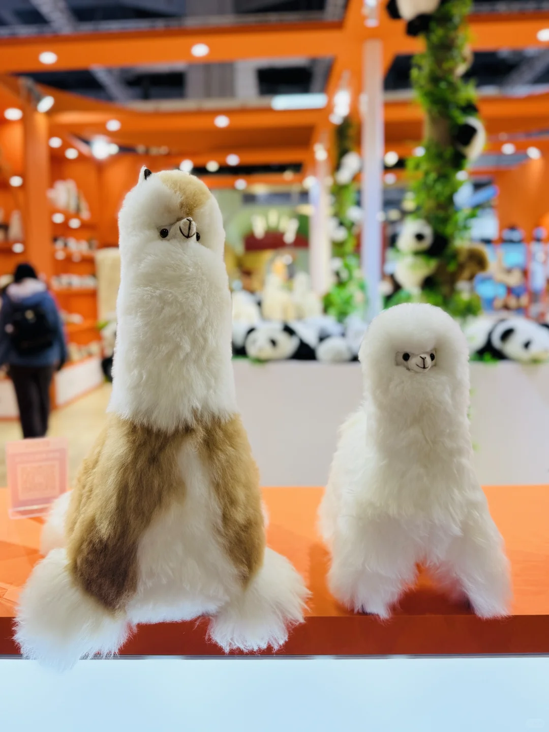 ?首次打卡?进博会?