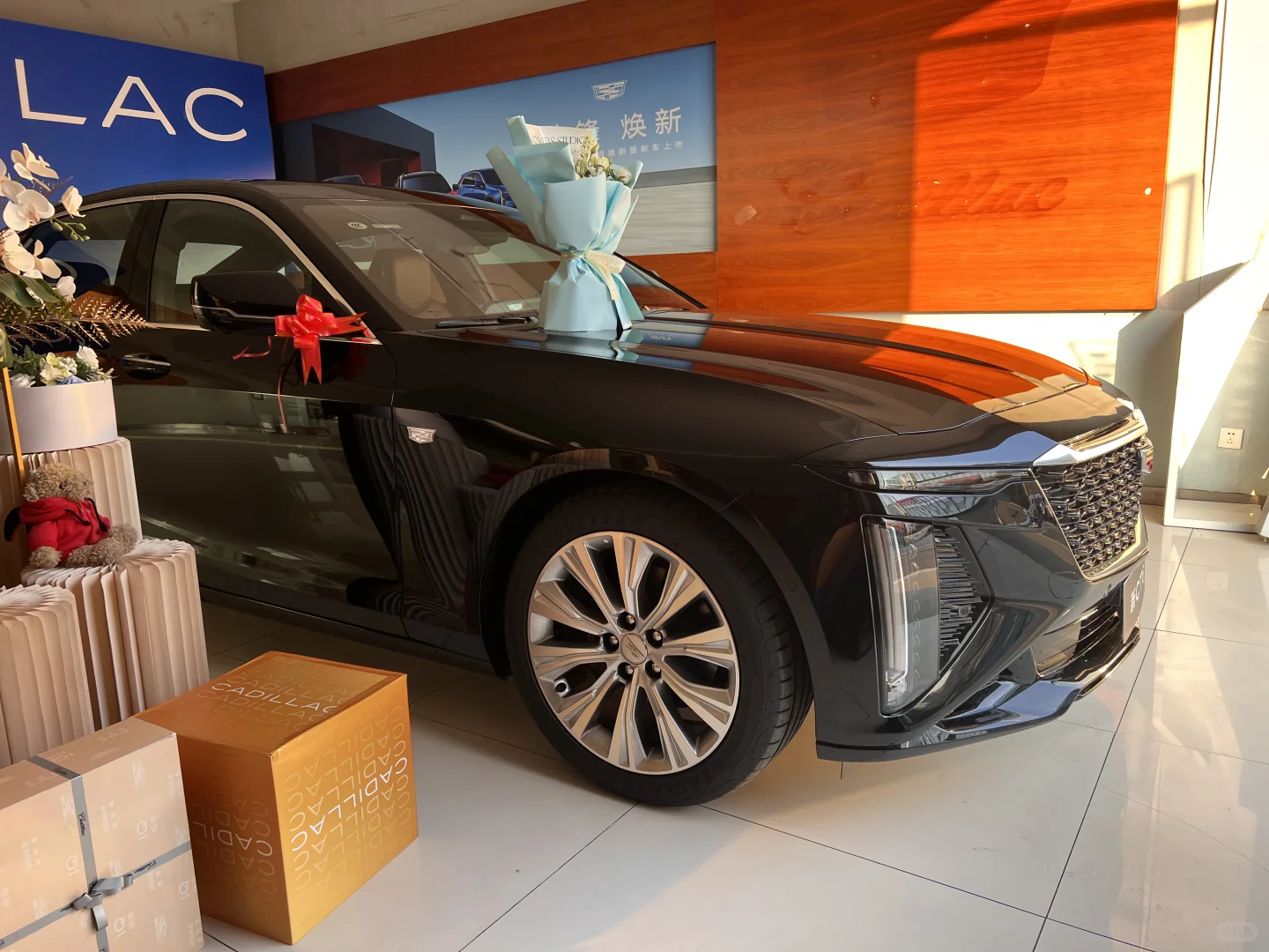 进博会CT6少量红内