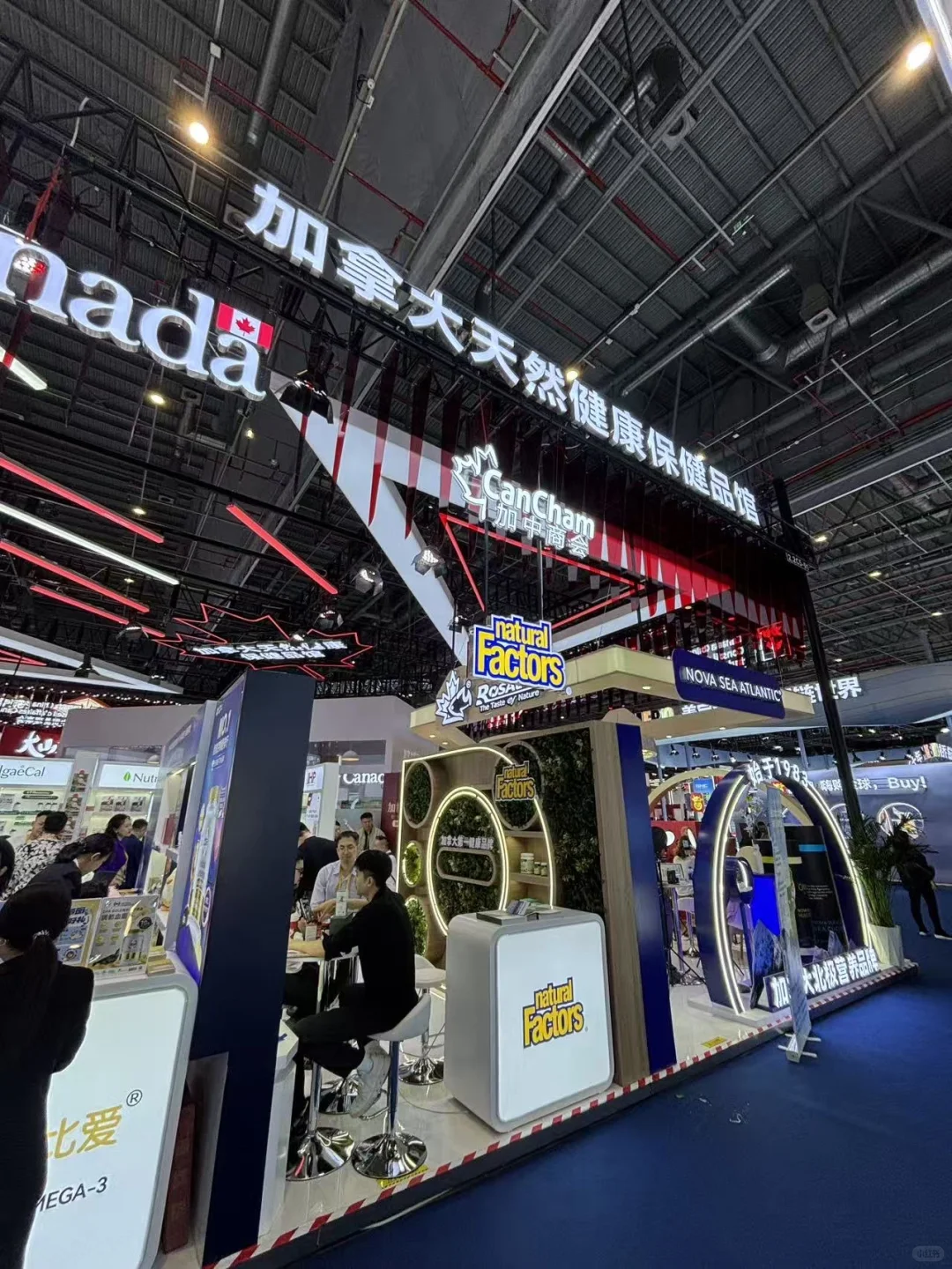 人到中年追求一种“根”与“热忱”都在的生活