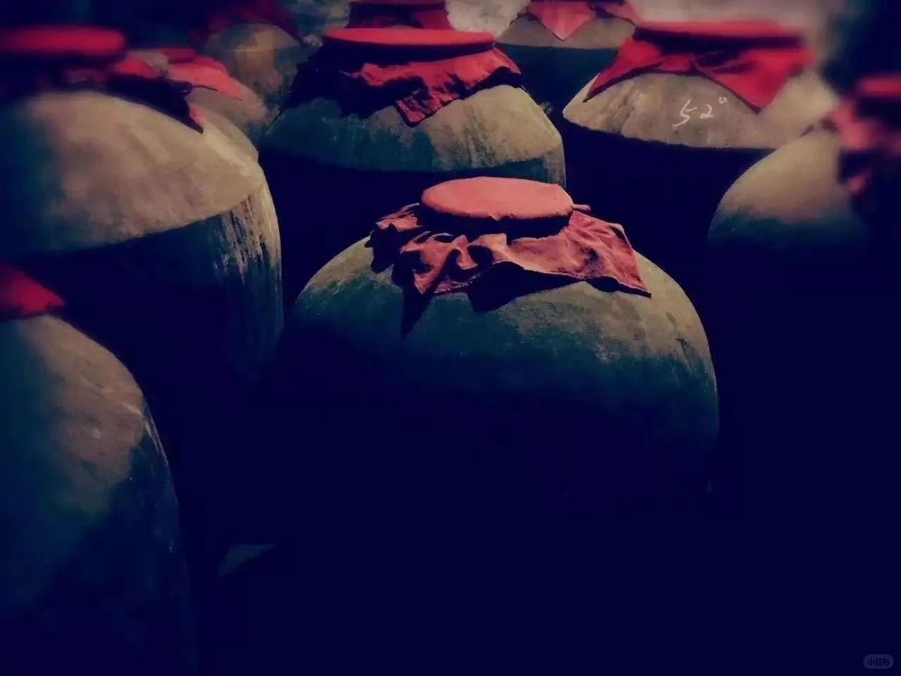 尝试一次就会无限回购的白酒来了！