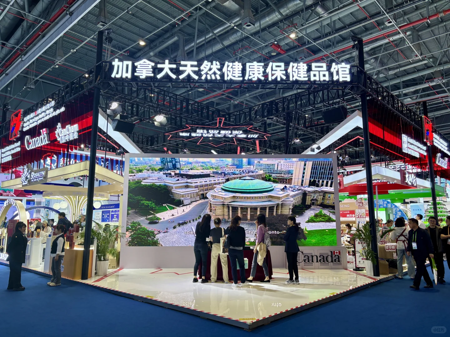 人到中年追求一种“根”与“热忱”都在的生活