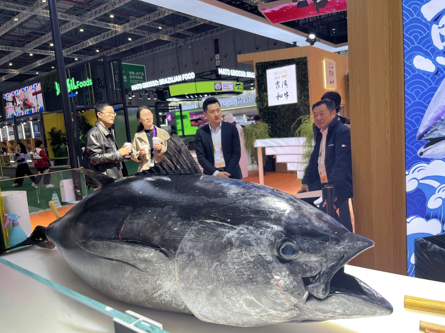 上海进博会佛系暴走8小时攻略