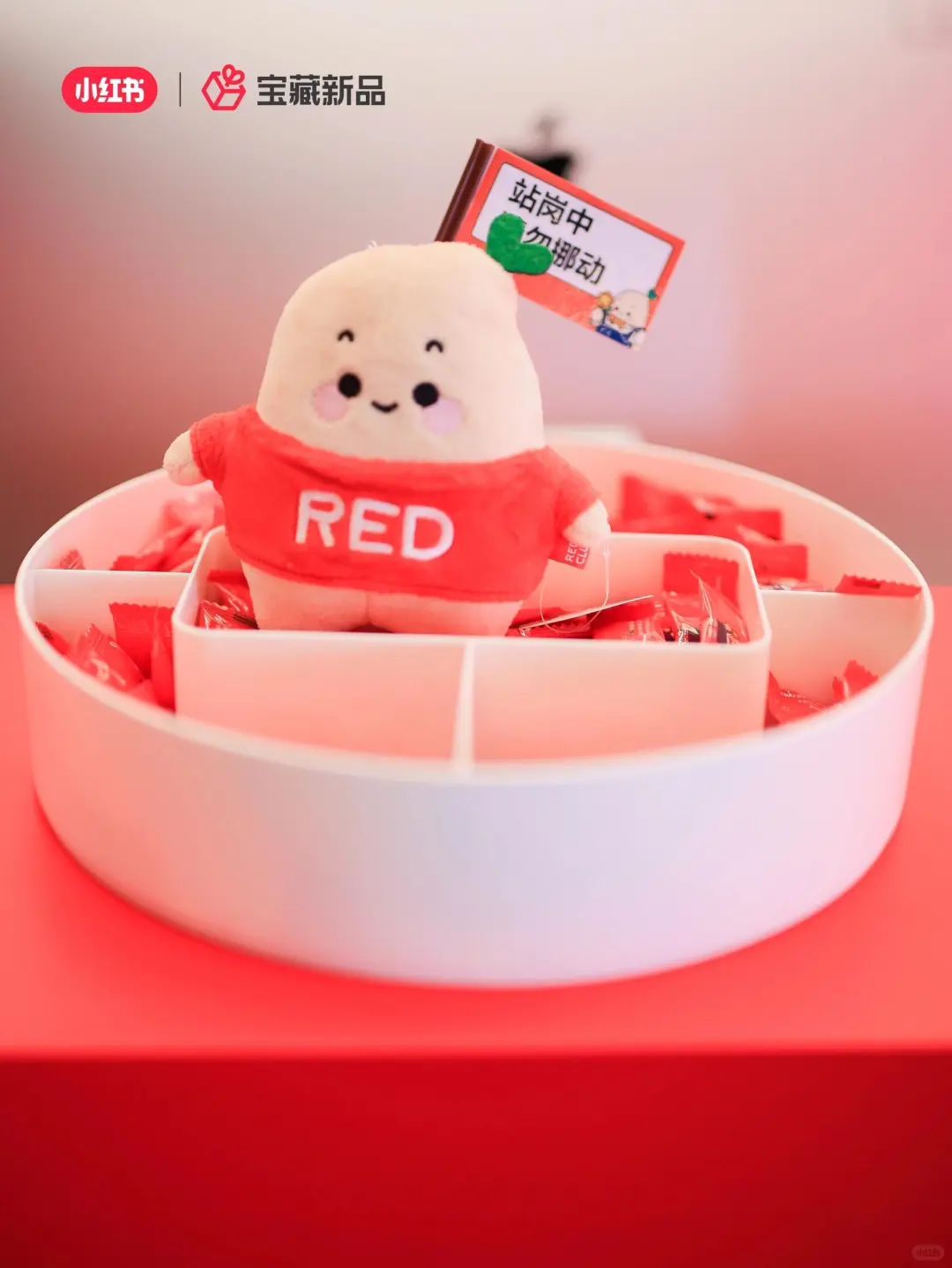 活动策划|案例分享|小红书宝藏新品发布会