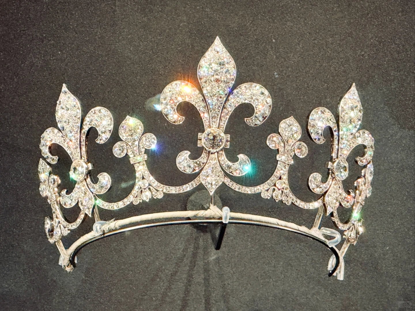 ?首次打卡?进博会?