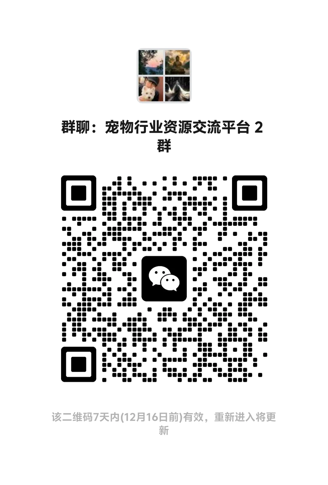 宠物行业资源对接能有多高效？