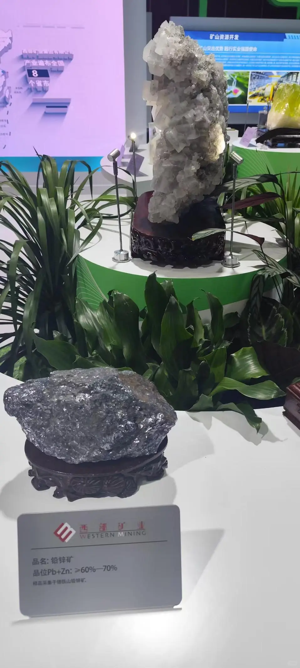 2025中国国际矿业大会