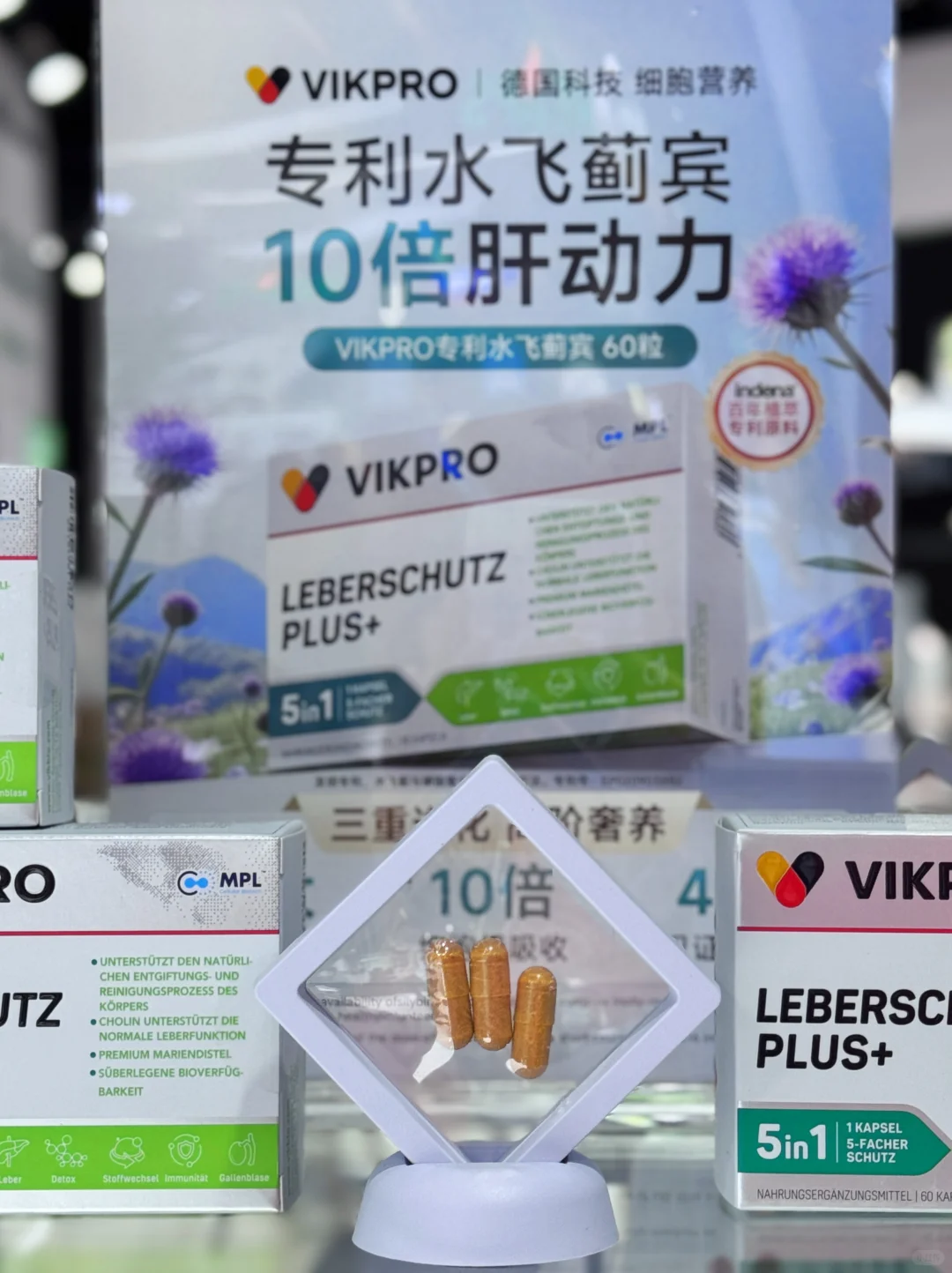 逛进博会的第二天！终于挖到宝了！！✨✨