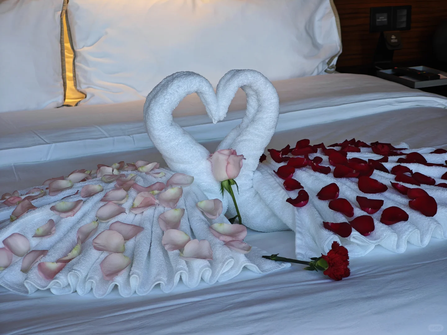 万豪 白挑 2/8 广州广交会威斯汀